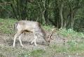 bd_DSC00217 (2)